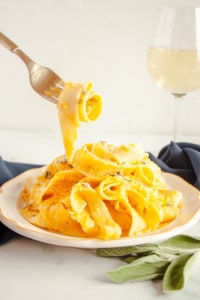 Fork twirling pasta over plate of pasta coated with Butternut Squash Pasta Sauce