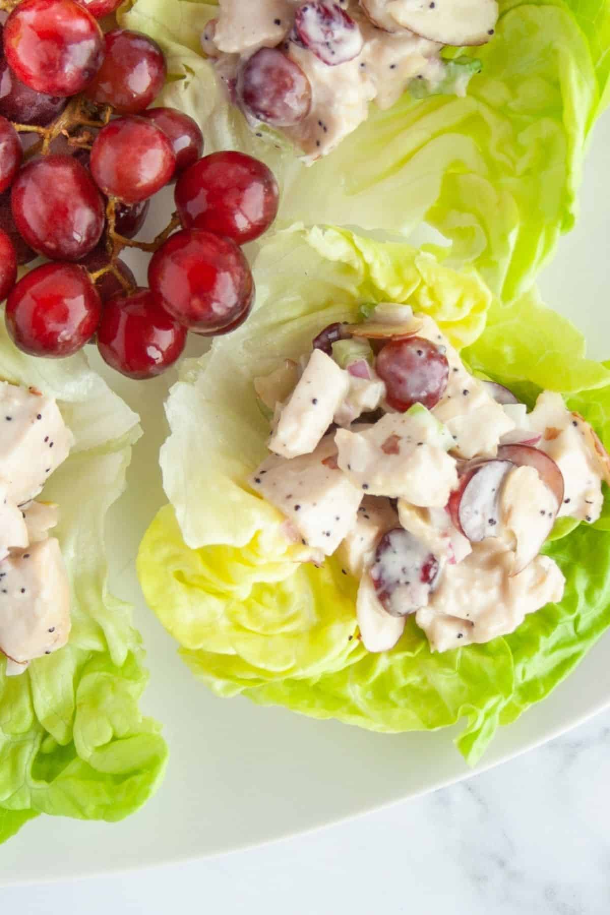 Chicken salad on butter lettuce leaves