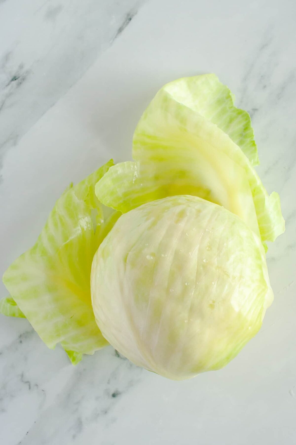 Cooked head of cabbage on countertop
