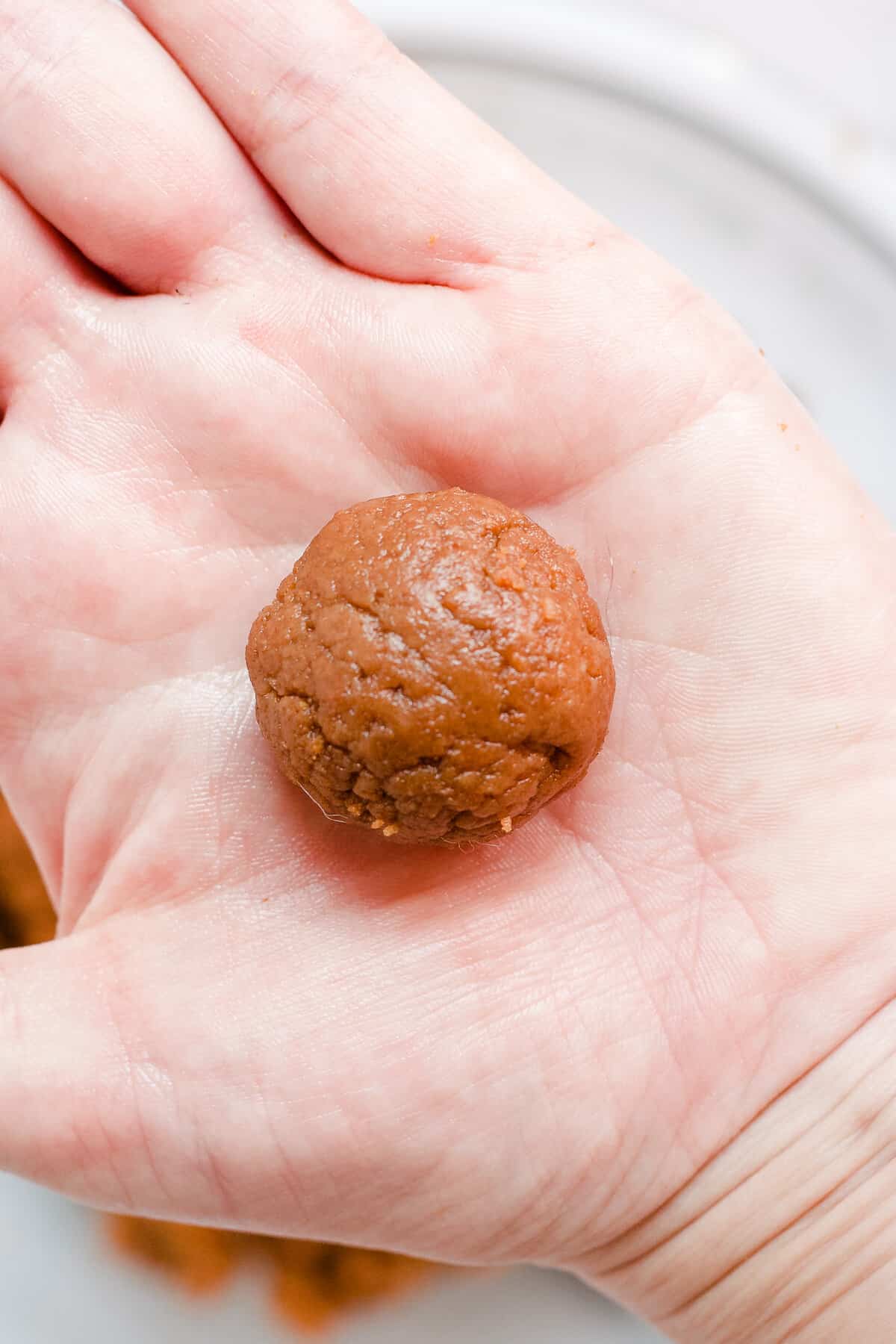 Hand holding a rolled truffle