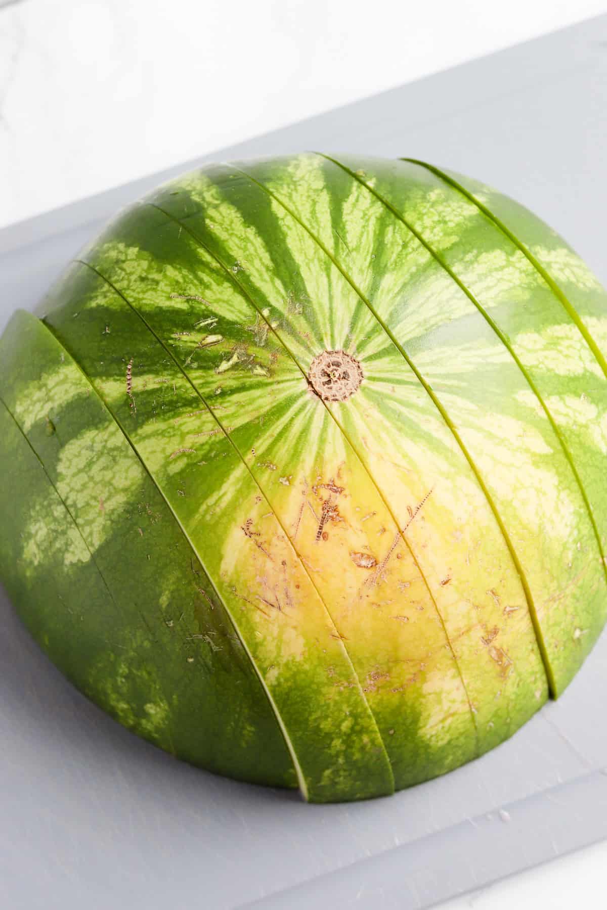 One inch cuts across half the watermelon.
