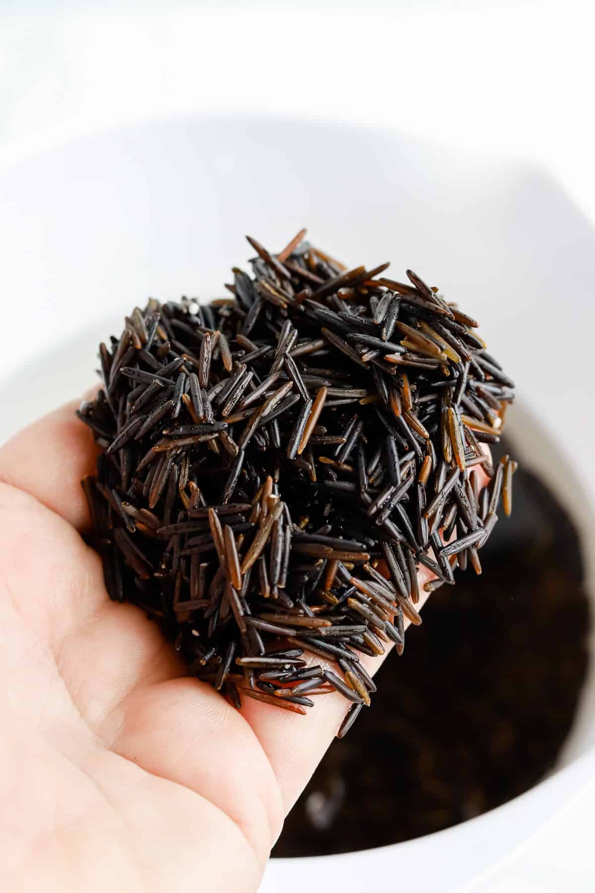 Hand scooping up raw wild rice that's been soaking in water.