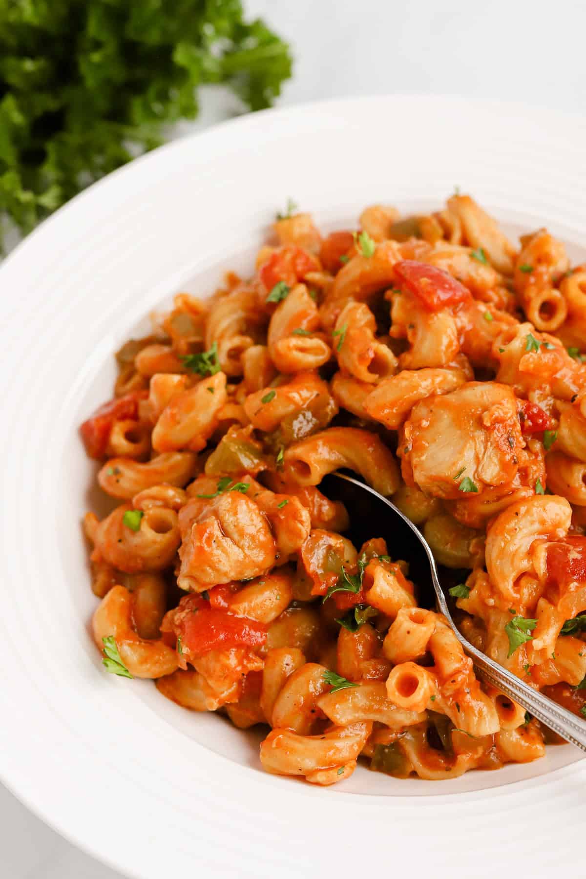 Plated chicken goulash in a shallow white bowl.